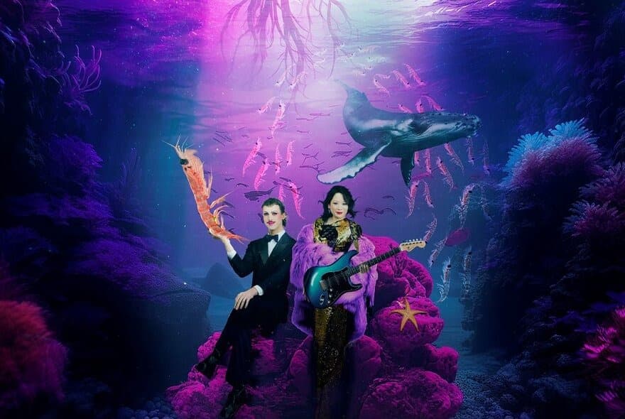 The Rockstar and the Krill