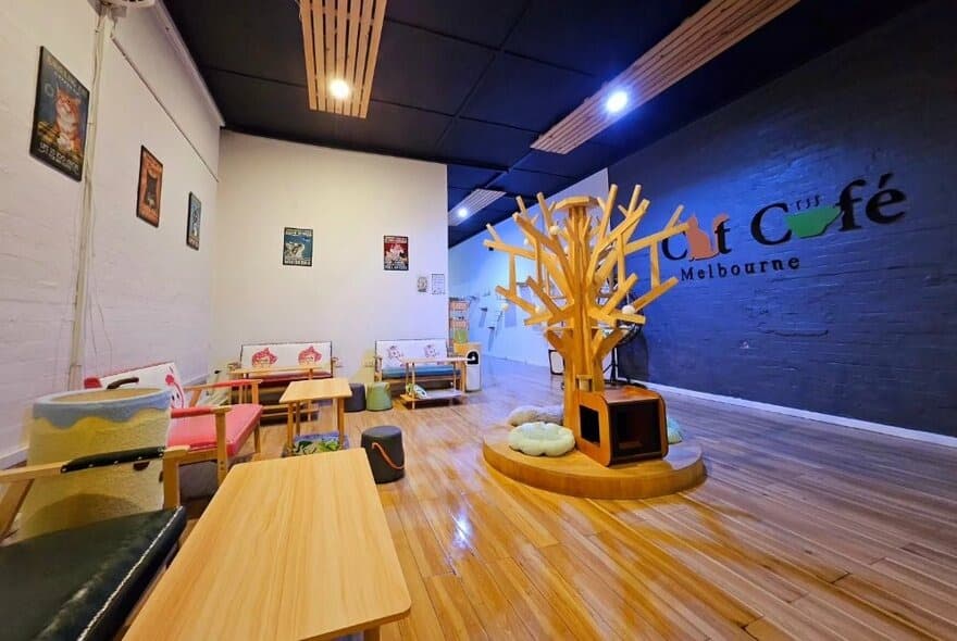 Cat Cafe Melbourne