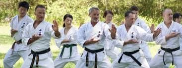 Karate for Adults & Teens