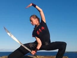 Kung Fu classes