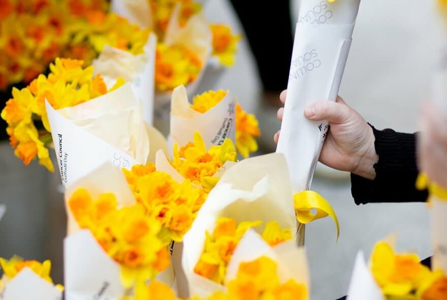 Daffodil Day at Collins Square