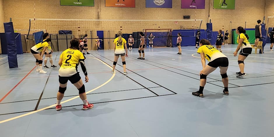 Beginner / Intermediate - Learn to play Volleyball