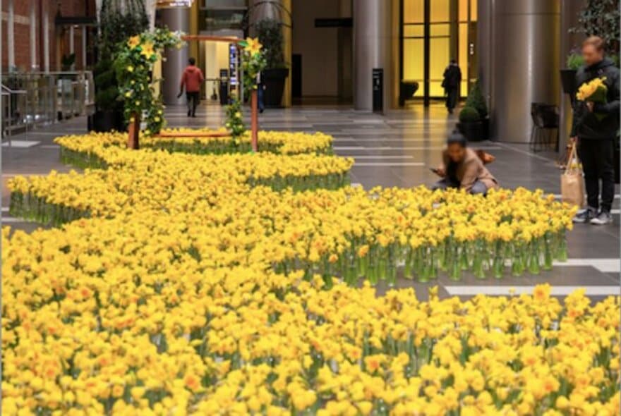 Daffodil Day at Rialto