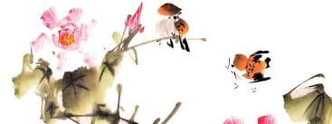 Chinese painting for beginners to advanced