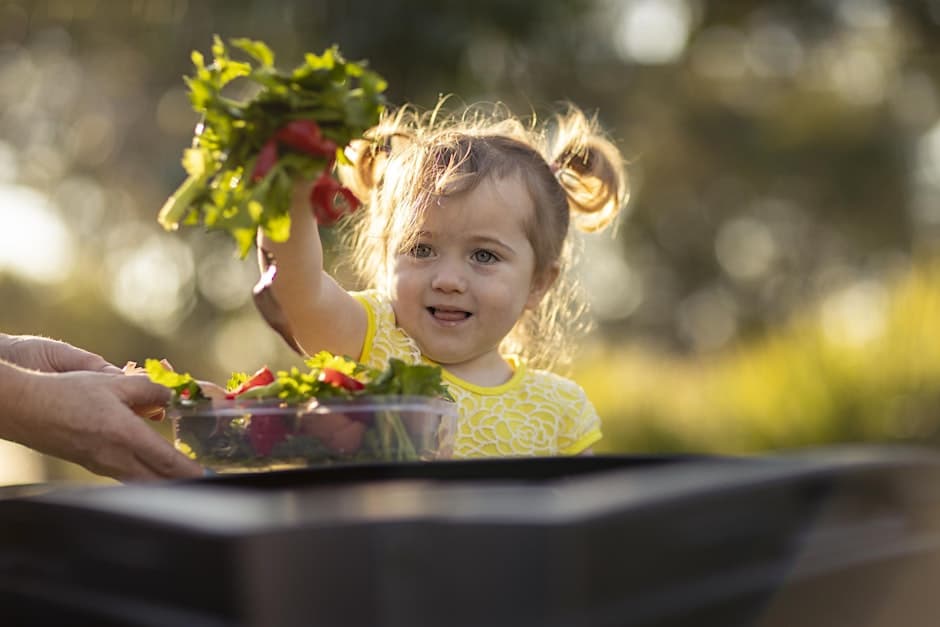 Home Harvest - Getting Ready for the Summer Harvest (Part 2)