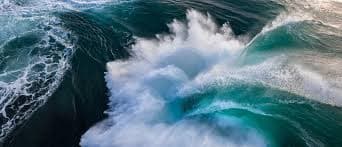Australian Geographic Nature Photographer of the Year